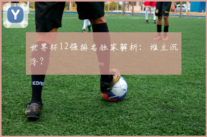 世界杯12强排名独家解析：谁主沉浮？