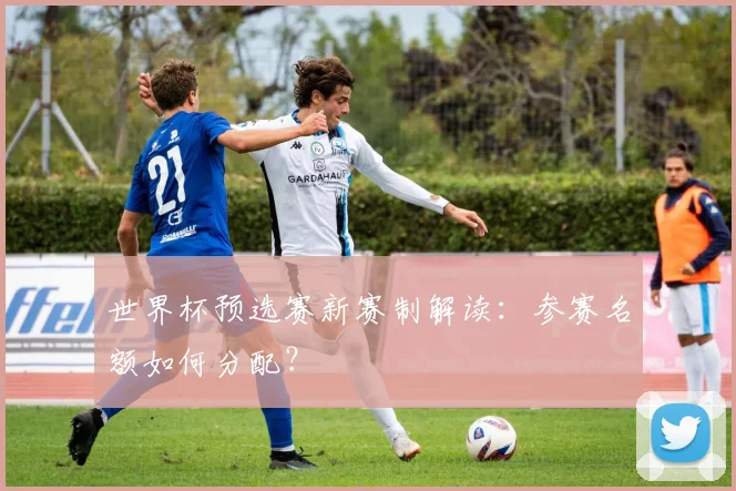 世界杯预选赛新赛制解读：参赛名额如何分配？