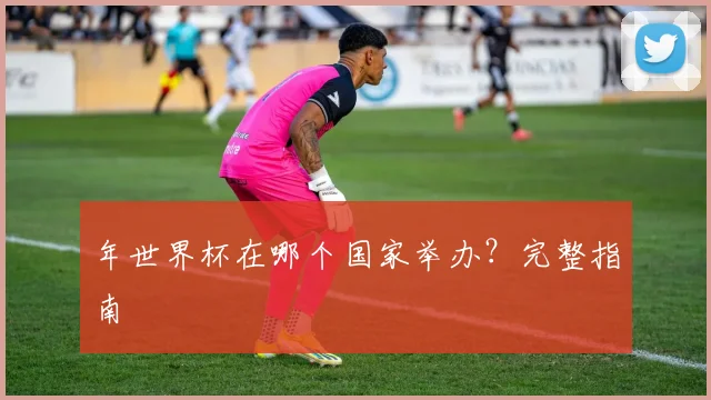 年世界杯在哪个国家举办?完整指南