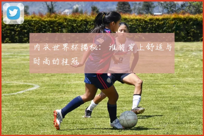 内衣世界杯揭秘：谁将穿上舒适与时尚的桂冠