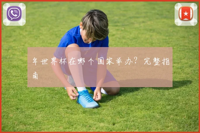 年世界杯在哪个国家举办？完整指南