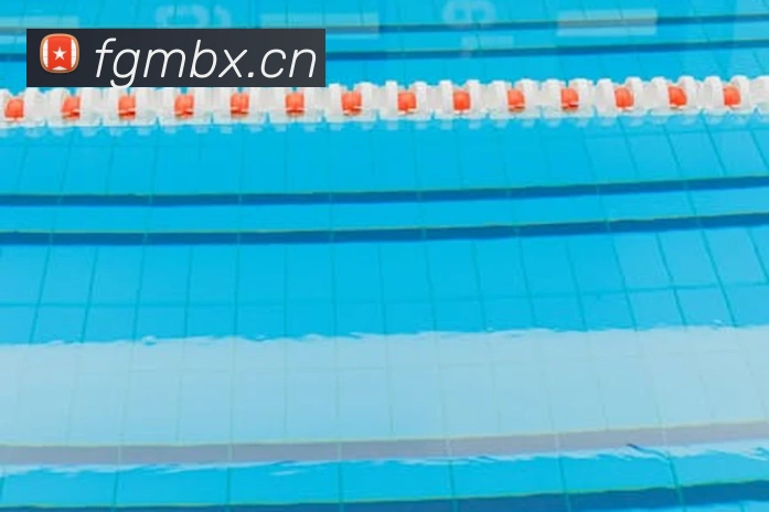 多媒体互动体验